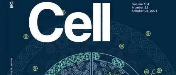 师从何祖华院士，去年发《Nature》，今年发《Cell》，中科院“国家杰青”团队取得植物微生物互作领域的重要突破