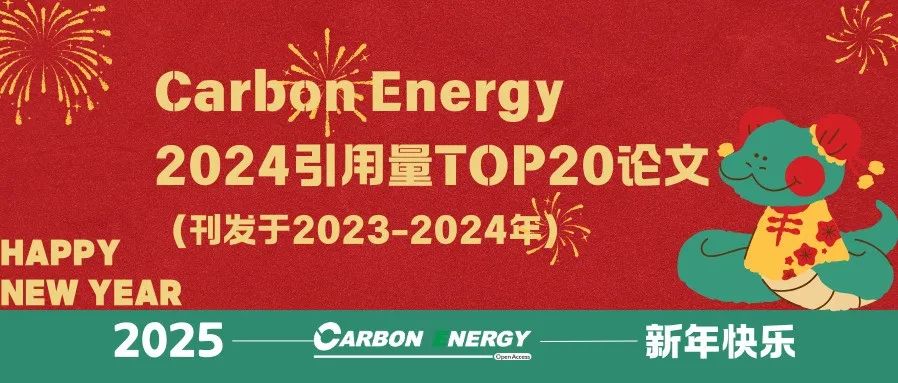 Carbon Energy 2024引用量TOP20论文 （刊发于2023-2024年）