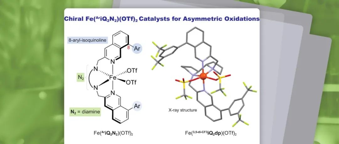 Org. Lett.：用于不对称氧化反应的手性双-8-芳基-异喹啉双烷基胺铁催化剂
