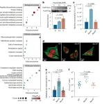 南开大学刘斌等研合作最新Nat Microbiol