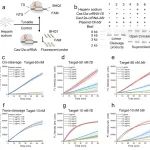 Nat Commun丨中国科学技术大学俞汗青/刘东风发现Cas12活性的可调控制促进了通用和快速的一锅法核酸检测