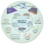 AM综述：2D材料的边缘位点设计助力电催化和光催化