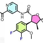 痛楚终结者：20年来首个非阿片止痛分子