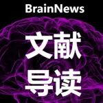 Cell Rep：王枫团队建立一套数据驱动的层级化行为定量分析框架