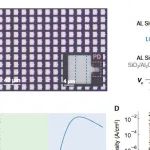 研究进展：UC王枫团队 光学神经网络-光开关 | Science Advances