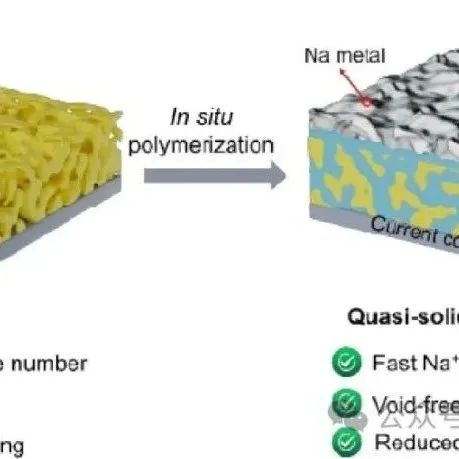 EMD | 福建师范大学陈育明/吴军雄等研究论文：原位聚合准固态聚合物电解质实现无空隙界面的室温钠硫电池