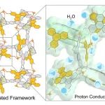 复旦大学李巧伟课题组 MOF与HOF的同拓扑纠缠共生 | Nature Synthesis