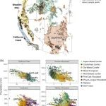 Ecological Applications | 轻度森林火灾可以起到缓冲作用，降低未来火灾强度