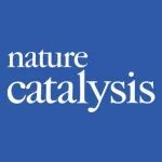 人工树叶，性能飙升200倍！三院院士杨培东，Nature Catalysis！