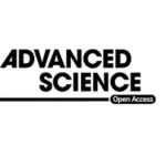 &#8203;电子科技大学肖波团队《Adv Sci》：纳米工程菌通过增强光免疫疗法和微生物色氨酸代谢口服治疗结直肠癌