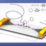 【Nat. Nanotechnol.】北京大学郭雪峰课题组与合作者实现烯烃复分解的精准调控