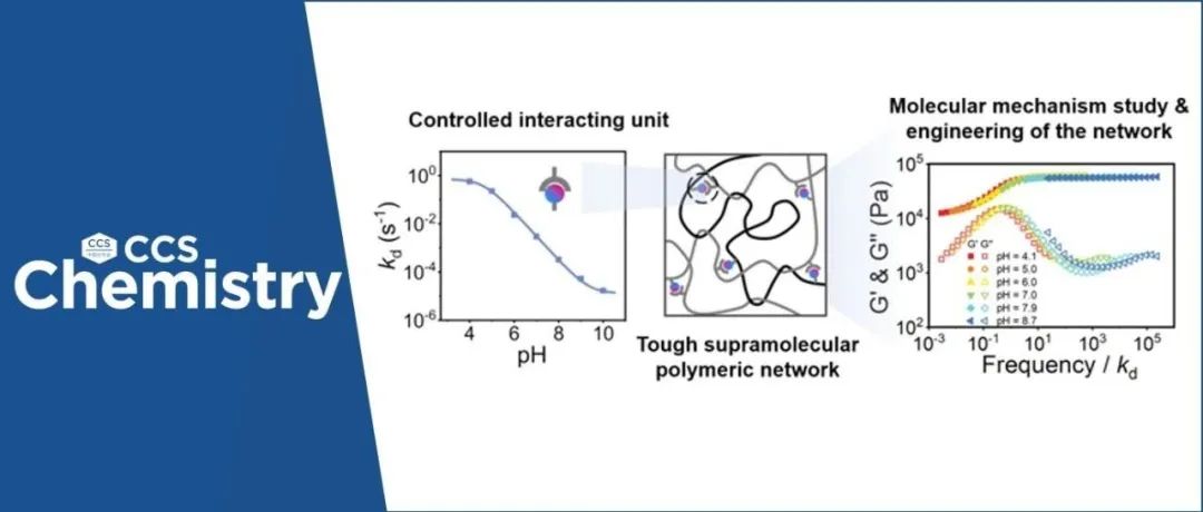 【CCS Chem.】山东大学陈浩课题组：具有精准可控黏弹性及力学性能的强韧超分子聚合物网络