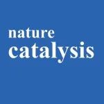 南开大学，Nature Catalysis！