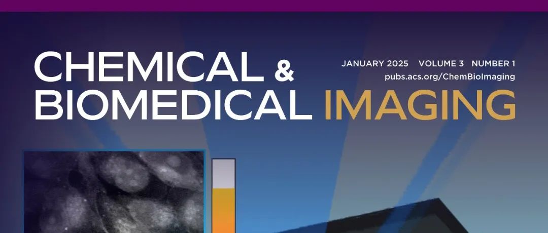 普渡大学张驰教授课题组 Chem. Biomed. Imaging | 缺氧环境对癌细胞内脂滴变化的影响