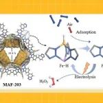 中山大学廖培钦教授课题组JACS：O2分子插入Fe&#8722;H键的新机制