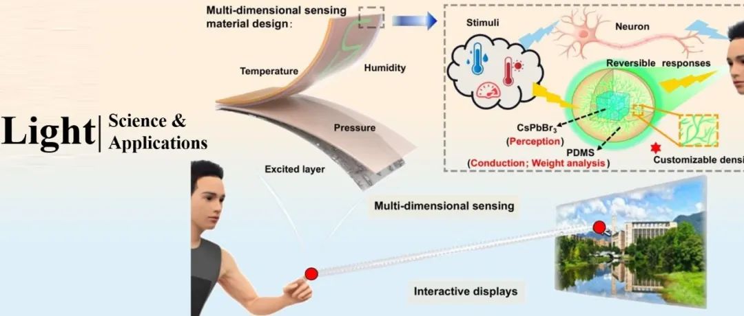 Light | 神经元启发的CsPbBr&#8323;/PDMS纳米球：打造多维感知与交互显示新技术