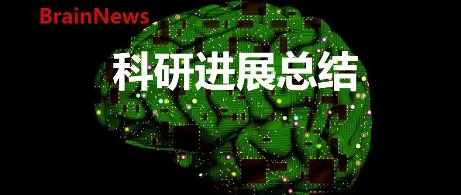 厦门大学王鑫教授近五年成果聚焦AD等神经疾病（Cell/Nat Neurosci/NSR/JCI/Sci Adv/MP）