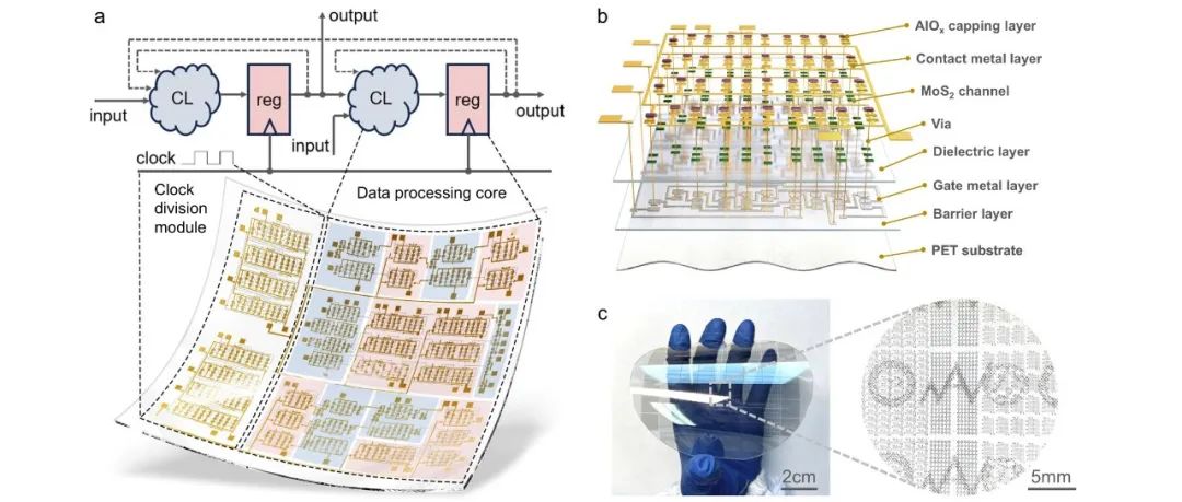 中规模二维柔性集成电路 | 进展