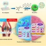 ACS Nano：基于高通量筛选策略和金属-有机框架的多功能控释纳米材料用于治疗骨关节炎