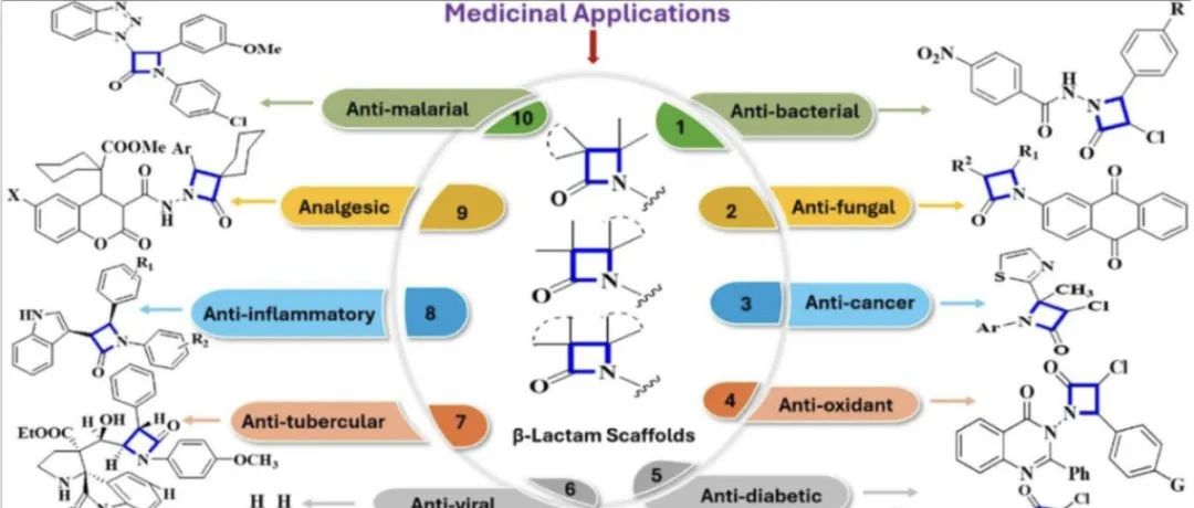 综述｜β-内酰胺分子的药物活性研究进展｜(2020–2024)