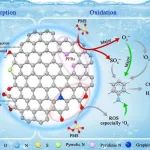 哈尔滨工业大学（深圳）董文艺、赵子龙等BIOCHAR：协同改性强化生物炭表面持久自由基形成及其活化PMS降解苯胺研究