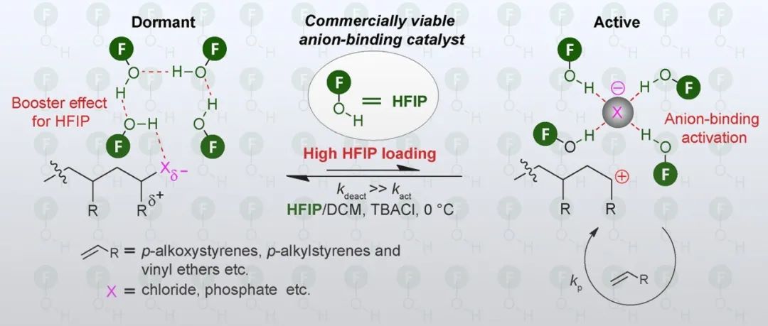 长春应化所陶友华研究员/李茂盛副研究员 Angew：六氟异丙醇（HFIP）化身阴离子 “捕手”  破解活性阳离子聚合难题