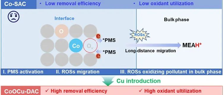 华北电力大学汪黎东团队AFM：氧桥联Co-Cu双原子催化剂协同触发界面质子耦合电子转移（PCET）——一种可持续去污的新方法