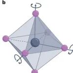 浙大杨德仁院士/王勇团队：钙钛矿八面体单元！| Nature Reviews Chemistry