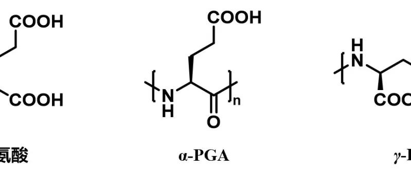 北大吕华教授课题组新品发布：聚-α-谷氨酸  驱动多领域创新
