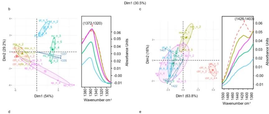 根际微生态 BIOL FERT SOILS：促进植物生长的酵母是缓解盐分对西葫芦植物生长造成的压力的可持续解决方案