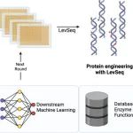 ACS Synth Biol｜加州理工学院提出LevSeq：快速生成用于定向进化和机器学习的序列功能数据