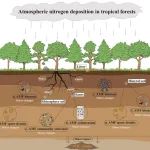 SBB | 鼎湖山站揭示氮沉降对热带森林丛枝菌根真菌和土壤碳储量的影响