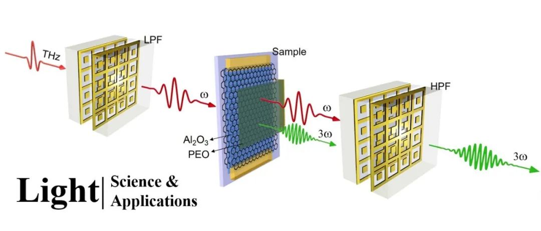 Light | 基于石墨烯结构的THz非线性增强