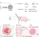 Adv Health Mater | 武汉病毒所/高致病性病毒与生物安全实验室崔宗强团队在递送溶瘤病毒跨越血脑屏障研究中取得进展