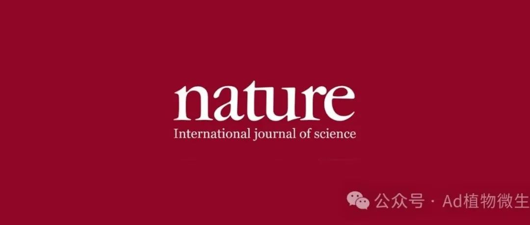 一年发表2篇Nature、2篇Science、1篇Cell！中科院新晋“国家杰青”在《Nature》再发植物免疫研究的重要突破