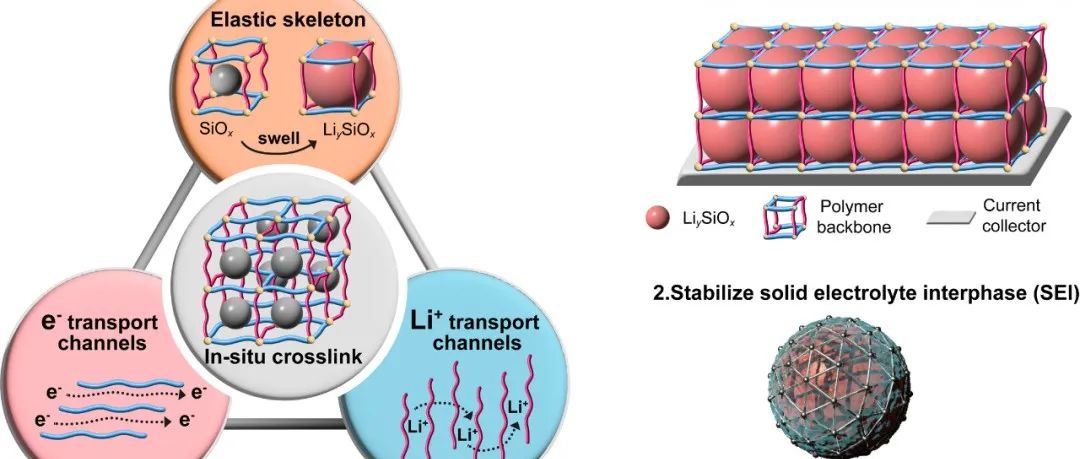 北大潘锋/杨卢奕团队Matter：原位光交联构建弹性e-/Li+传输网络以稳定SiOx电极界面