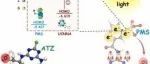 文献速递|湖南农业大学ACB:以接枝分子为电子受体和活性位点的氮化碳实现高效光催化PMS去除有机污染物的目标