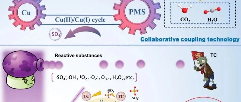 文献速递|西安交通大学CEJ:在水下气泡等离子处理过程中引入 Cu(Ⅱ)-PMS 以增强协同效应，从而高效降解水中的新污染物