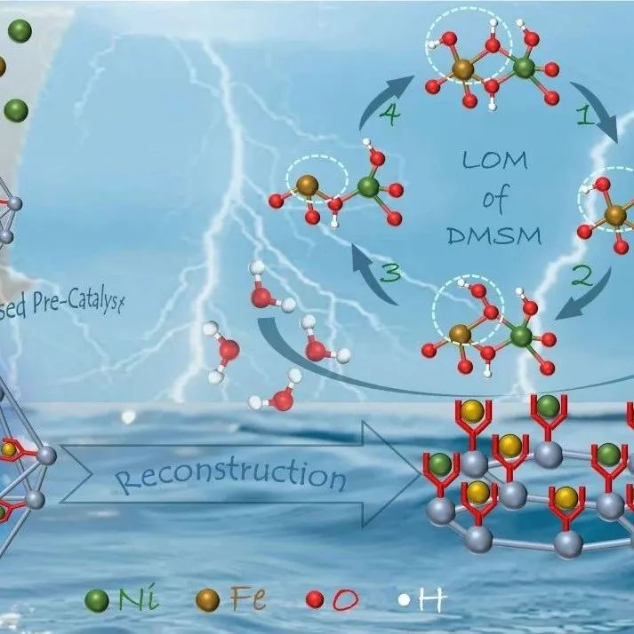 刘翔宇/王广钊/严振华团队合作通过设计MOF基预催化剂合理利用电化学结构重构实现高效析氧反应