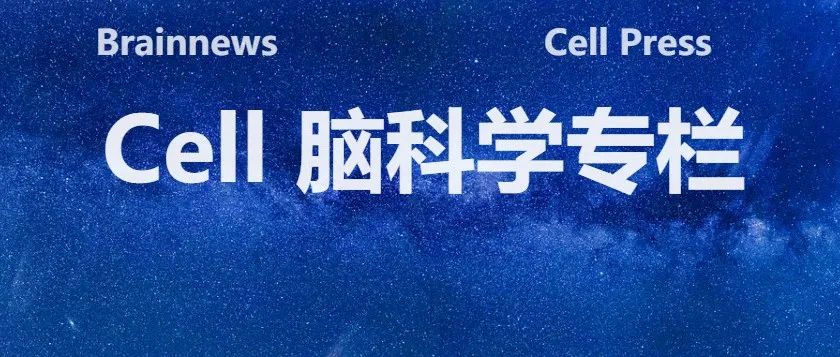 Cell：治疗新思路！研究发现驱动亨廷顿舞蹈症小鼠的选择性致病新机制