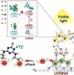 湖南农业大学邓垚成、黄颖等ACB：以接枝分子为电子受体和活性位点的氮化碳实现高效光催化PMS去除有机污染物的目标