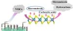 广东工业大学安太成团队Environ. Sci.: Nano: 利用第一性原理研究不同类型典型VOCs在单层二硫化钼上的吸附机理