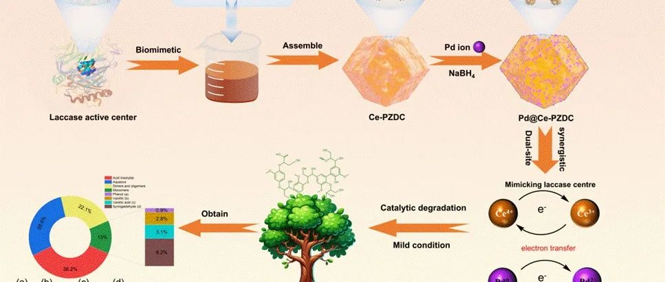 ACS Catal. | 双位点仿生催化剂实现木质素低温解聚