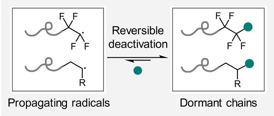 复旦大学陈茂课题组 Chem：四氟乙烯可控/活性共聚 - 发散式可逆失活调控策略