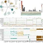 大麦泛转录组发表Nature Genetics！