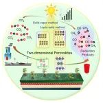 Angew综述：二维钙钛矿助力光催化CO2还原