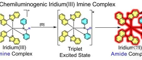 环合铱(III)Schiff碱配合物化学发光生物探针