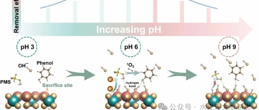 文献速递|重庆大学ACB:铁（III）减轻了铁基双金属/PMS 系统氧化有机污染物的 pH 值依赖性