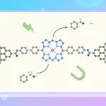 北大郭雪峰教授课题组JACS：单原子催化产氢机制及其自旋调控