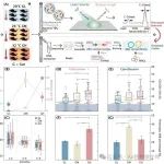 中科院城市环境所朱永官院士团队Microbiome：土壤升温对入侵生物肠道活性抗生素耐药细菌的影响